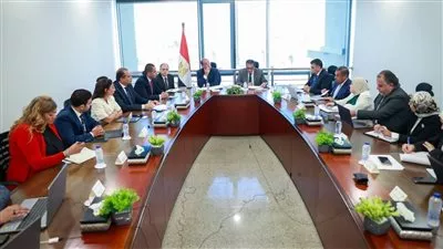 مصر تسعى لتعزيز الصادرات الدوائية والمستلزمات الطبية للأسواق العالمية