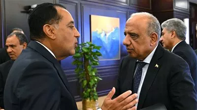 الحكومة توافق على منح التزام إنشاء محطة محولات بمدينة العاشر من رمضان