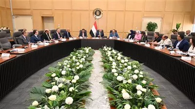 شركة صينية تبدأ إنشاء مصنع للكتان في السادات خلال سبتمبر المقبل