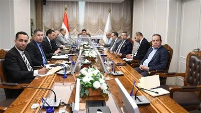 الشباب والرياضة تستعد لإصدار القرار التنفيذي لأندية الشركات والمصانع