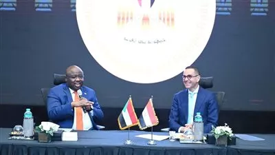  مصر والسودان تبحثان التعاون المشترك فى مجالات الذهب والثروات المعدنية