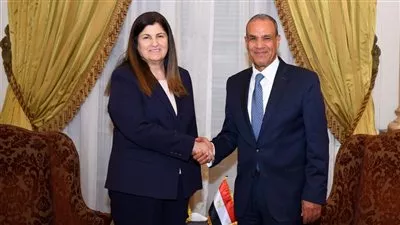 وزير‎ الخارجية يؤكد رفض مصر لتوسيع العمليات العسكرية الإسرائيلية في غزة 