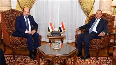 وزير الخارجية يؤكد دعم مصر لوحدة وسيادة اليمن وسوريا