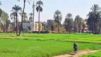 تعديل المخطط التفصيلي لقريتين في الشرقية وبني سويف