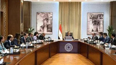 «صن ريف سولار» الصينية تدرس إنشاء محطات للطاقة الشمسية في مصر