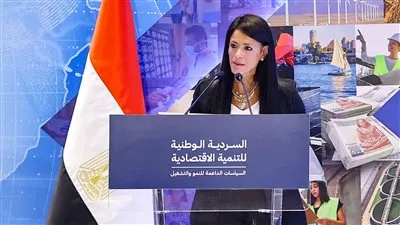 «المشاط»: إعادة هيكلة 59 هيئة اقتصادية لتعظيم العائد ورفع كفاءة الأداء