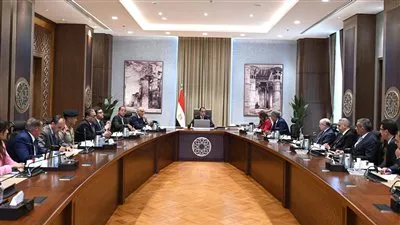 مصر تخطط لزيادة حجم أسطول الطيران 30%