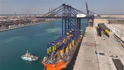 رصيف محطة هاتشيسون بميناء السخنة يستقبل 9 أوناش جديدة