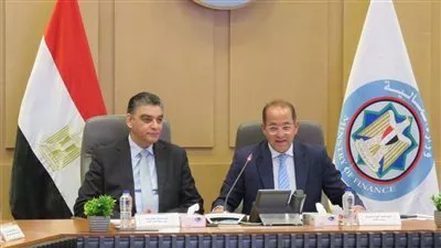 وزير المالية: إتاحة 14.7 مليار جنيه تسهيلات ائتمانية لشركات الأدوية