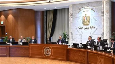 رئيس الوزراء: تقديم تيسيرات لجذب الاستثمارات بصناعة الأسمدة في مصر