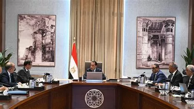 مصر تعتزم إنشاء مجمع لإنتاج البذور بالتعاون مع شركة عالمية