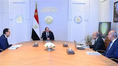 الرئيس السيسي يوجه بإضافة قدرات جديدة للكهرباء من الطاقة المتجددة
