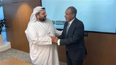وزير الخارجية يبحث سبل تعزيز التعاون الاستثماري بين مصر والإمارات