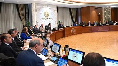مجلس الوزراء يقرر مد فترة توفيق أوضاع الأجانب المقيمين في مصر