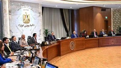 إعادة تخصيص 344 فدان لصالح هيئة التنمية الصناعية بمدينة برج العرب الجديدة