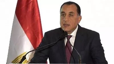 رئيس الوزراء يصدر قرارًا بإسقاط الجنسية المصرية عن شخصين