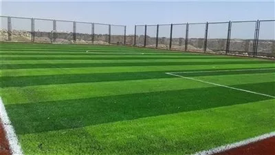 «الرياضة» توافق على إشهار نادى ومركز شباب بالجيزة والفيوم