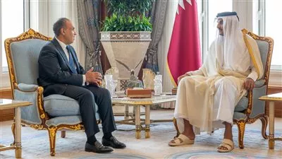وزير الخارجية يؤكد دعم وتضامن مصر مع قطر ضد العدوان الإسرائيلي 