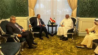 وزير الخارجية يبحث مع نظيره الكويتي تعزيز التعاون الاقتصادي والاستثماري