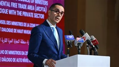 وزير الاستثمار: مصر تلتزم بدعم التكامل الاقتصادي بين الدول الإفريقية 