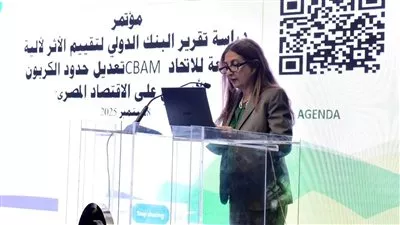 مصر تستعرض آثار آلية تعديل حدود الكربون الأوروبية على صادرات الحديد والصلب