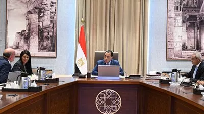 رئيس الوزراء يتابع جهود فض التشابكات المالية مع بنك الاستثمار القومي