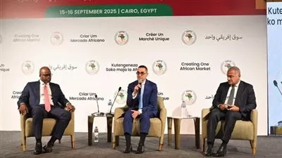 وزير الاستثمار يطالب بتفعيل اتفاقية التجارة الحرة الإفريقية 