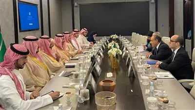 وزير الخارجية يبحث تعزيز التعاون الصناعي والاستثماري بين مصر والسعودية