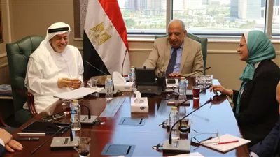 «أميا باور» تنشئ 3 محطات لتخزين الكهرباء في مصر بقدرات 2100 ميجاوات