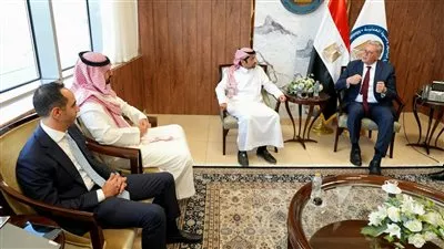 مصر تبحث تعزيز الاستثمارات السعودية في صناعات البتروكيماويات والأسمدة