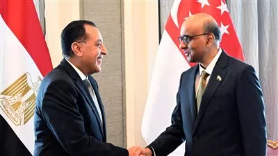 مصر وسنغافورة تبحثان تعزيز التعاون في إدارة وتشغيل الموانئ