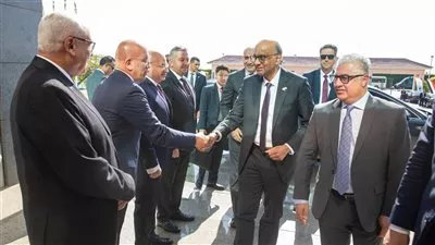 مصر تدعو سنغافورة لإقامة منطقة صناعية متخصصة باقتصادية قناة السويس