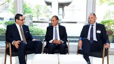 وزير الخارجية يبحث التنسيق والتعاون المشترك مع وزيرى خارجية اليونان وقبرص