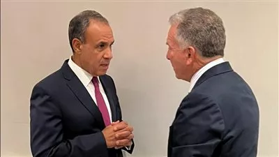 وزير الخارجية يبحث مع المبعوث الأمريكي تطورات الأوضاع في غزة 
