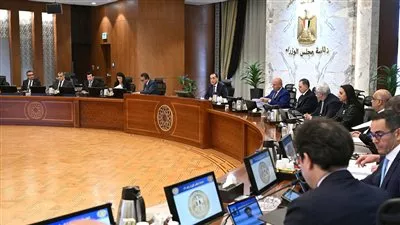 إنشاء 3 مشروعات بنظام المناطق الحرة الخاصة باستثمارات 207.4 مليون دولار