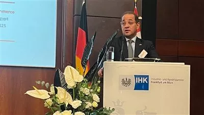 وزير المالية: جذب 9.8 مليار دولار استثمارات أجنبية مباشرة خلال 9 أشهر