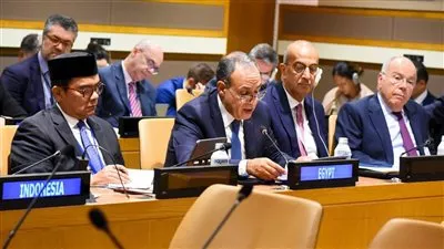 وزير الخارجية يؤكد أهمية تعزيز التسويات المالية بالعملات المحلية بين دول «البريكس»