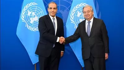 وزير الخارجية يؤكد دعم مصر لدور الأمم المتحدة لصون السلم والأمن الدوليين