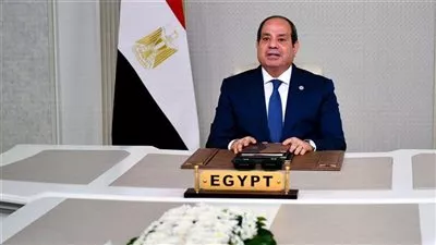 السيسي يؤكد حرص مصر على تعزيز الشراكة الاقتصادية مع كوريا الجنوبية