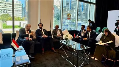 مصر والإمارات تبحثان سبل تعزيز التعاون المشترك في مجال الطيران المدني 