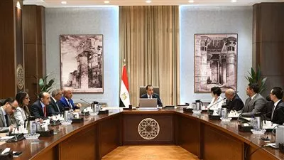 «المنصور» تتعاون مع «BYD» لتطوير صناعة السيارات الكهربائية في مصر