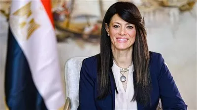 الحكومة تعد دليلاً استرشادياً لخدمات وتراخيص الشركات الناشئة في 14 قطاعًا