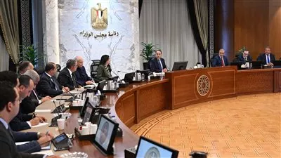 الحكومة تعلن بدء الإجراءات التنفيذية لتسجيل وتصدير العقار