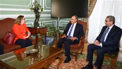 وزير الخارجية يستقبل مدير عام القوة متعددة الجنسيات بسيناء