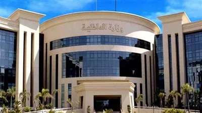 الداخلية: ضبط متهمين بغسل 200 مليون جنيه متحصلات القرصنة على القنوات الفضائية