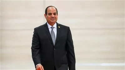 الرئيس السيسي يبحث تعزيز التعاون مع شبكة الآغا خان للتنمية