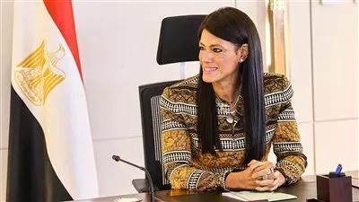 وزيرة التخطيط تبحث تطورات تنفيذ البرنامج القُطري مع منظمة التعاون الاقتصادي والتنمية