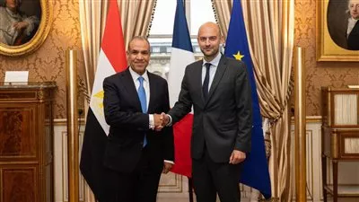 وزير الخارجية يؤكد حرص مصر على تعزيز التعاون المشترك مع فرنسا