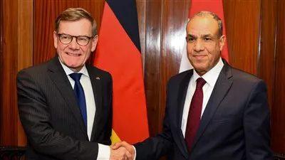 وزير الخارجية يبحث جذب الاستثمارات الألمانية لتوطين صناعة السيارات