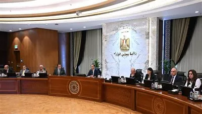 الحكومة توافق على إنشاء جامعة البحر المتوسط بالإسكندرية